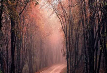 爱游戏:表现出色!王俊杰投篮11中7,得到20分5板3助.