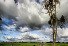 爱游戏：[德甲]第24轮：弗赖堡VS拜仁.