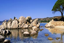 爱游戏:太适合广东队!CBA“全能锋线”打服杜锋,或被朱芳雨天价截胡?.